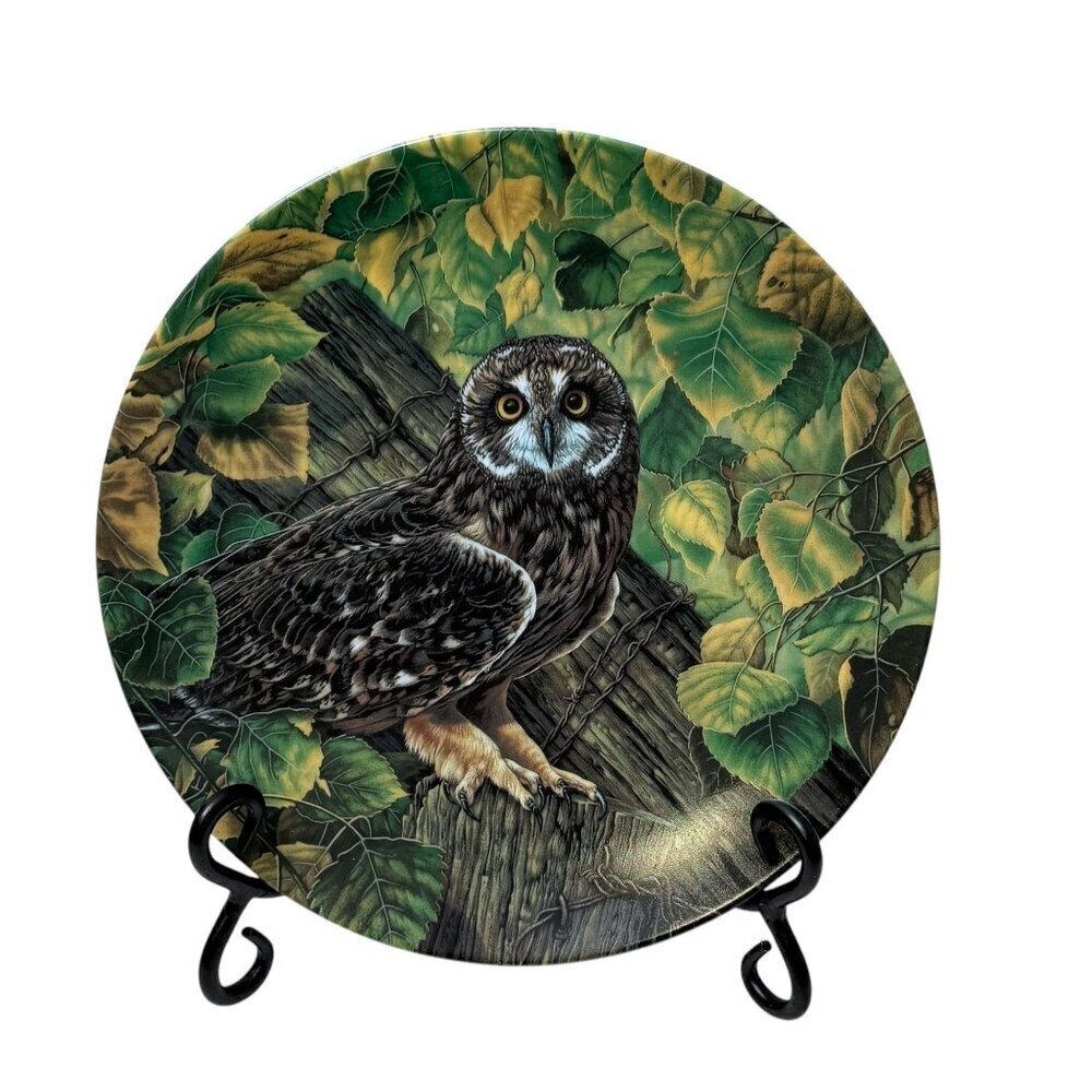 The Short-Eared Owl Plate Knowles 8.5" Collectible Art Limited Edition